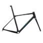 Giant TCR Advanced Pro Frameset 2025