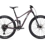 Liv Embolden 29er 1 2024