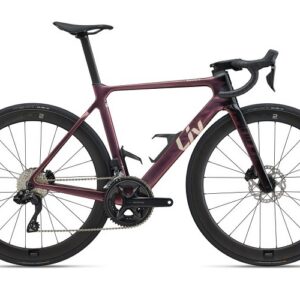 Liv Enviliv Advanced 1 2025