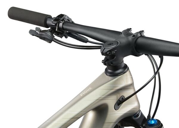 Liv Pique Advanced 29er 2 2024 2