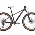 Liv Tempt 29er 0 2025