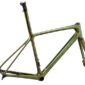 Giant TCR Advanced SL Disc Frame