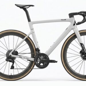 Avalanche Pulse Carbon Road 2027 (Silver)