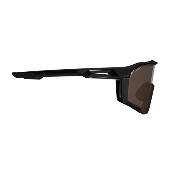 Leatt SpeedViz Pro Sunglasses (Satin Black / Silver 30%)