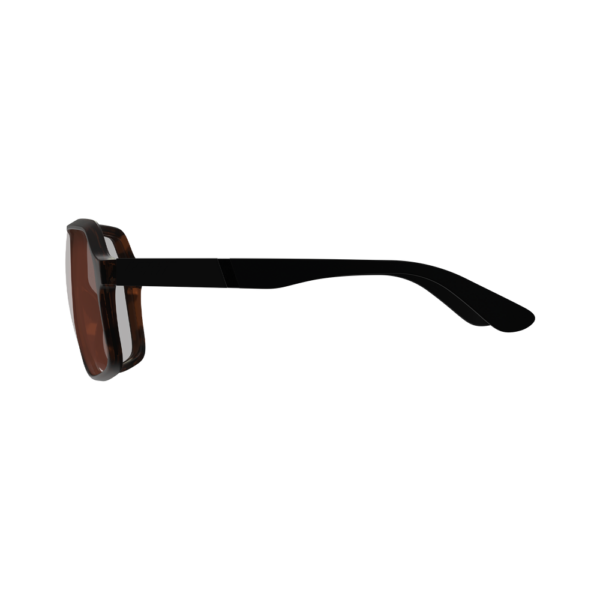 Leatt TheViz Andes Polarized Sunglasses (Brown / Brown/Silver 20%)