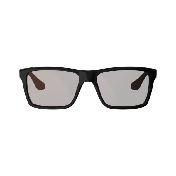 Leatt TheViz Sierra Polarized Sunglasses (Black/Silver / Brown/Silver 20%)